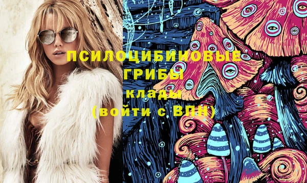 МДПВ Зеленодольск
