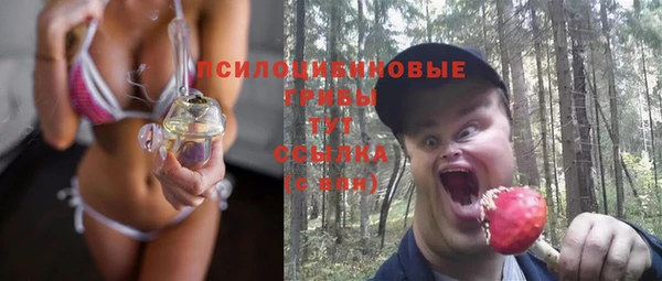 МДПВ Зеленодольск